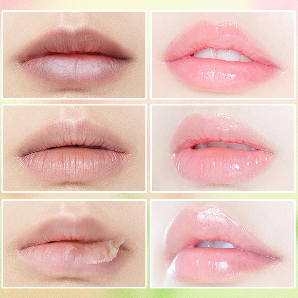 Coconut, green apple, watermelon lip scrub exfoliating deep cleansing moisturizing female gift Care Moisturizing
