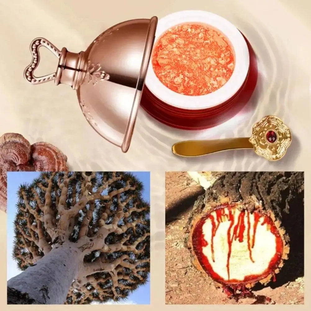 كريم الريتينول مع خلاصة Dragon’s Blood – ترميم وترطيب البشرة