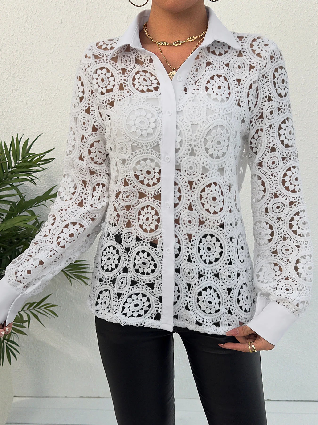 Paisley Lace Button Front Blouse, Hollow Out Long Sleeve Blouse For Spring & Summer, Women's Clothing