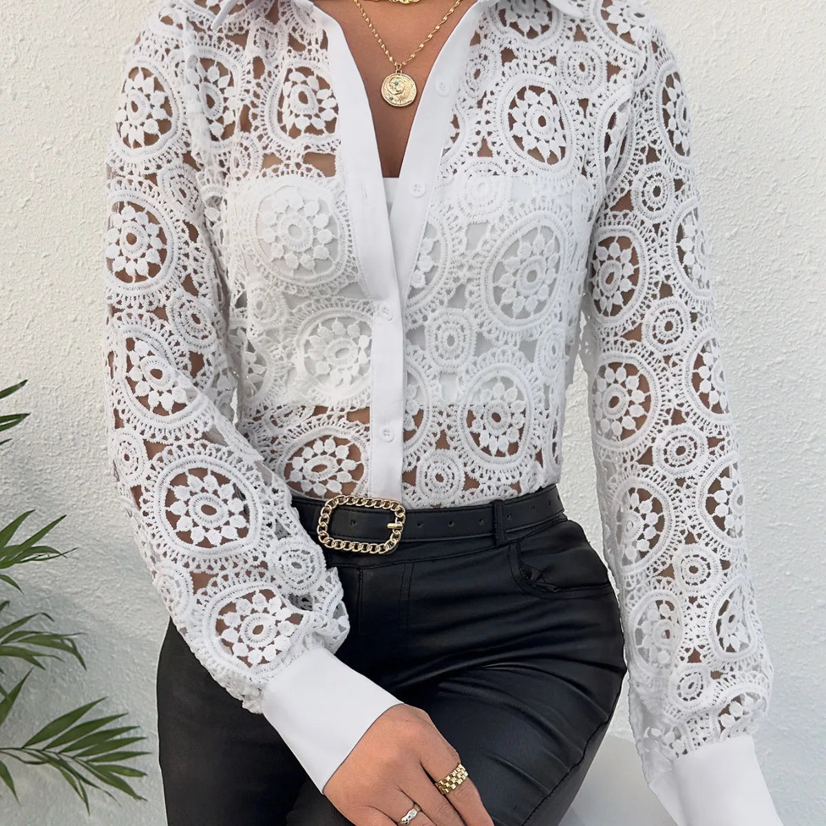 Paisley Lace Button Front Blouse, Hollow Out Long Sleeve Blouse For Spring & Summer, Women's Clothing