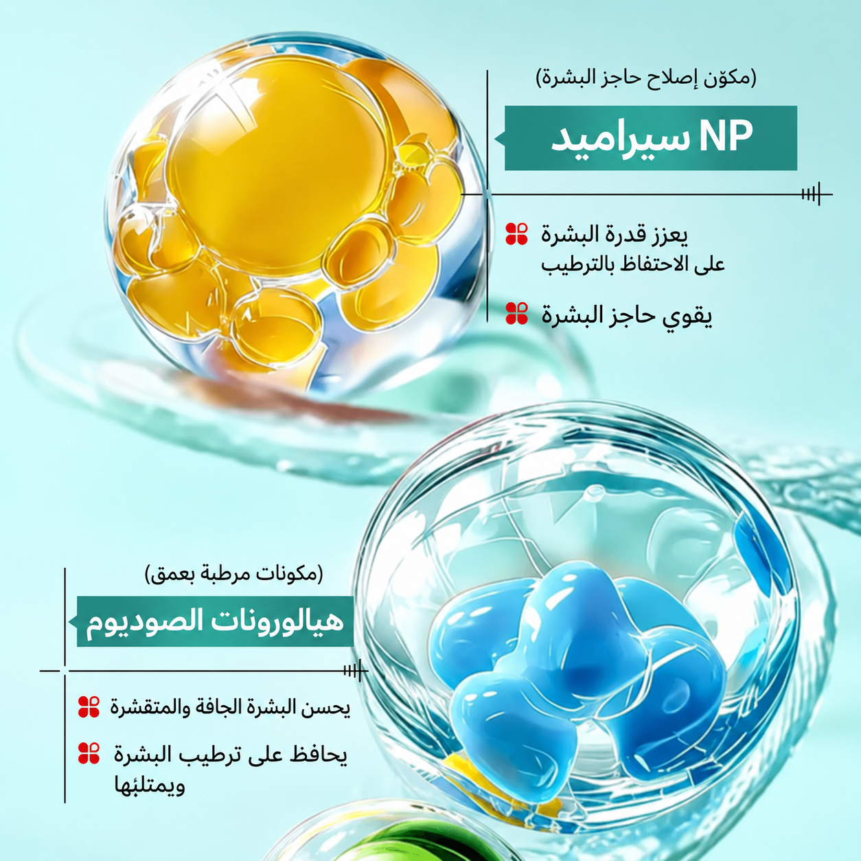 سيروم PDRN بالسيراميد والسينتيلا